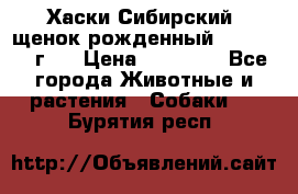 Хаски Сибирский (щенок рожденный 20.03.2017г.) › Цена ­ 25 000 - Все города Животные и растения » Собаки   . Бурятия респ.